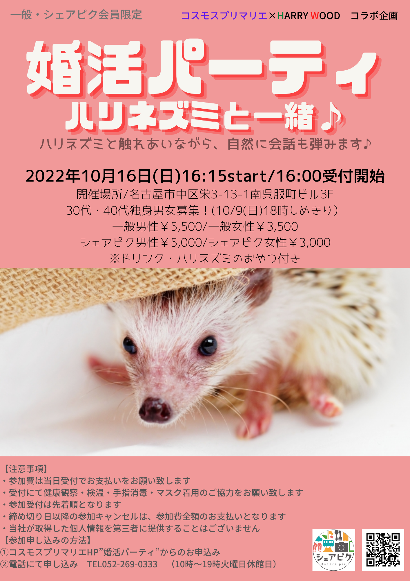 イベントNO.【54】10/16(日)ハリネズミ&婚活パーティ ハリネズミと一緒♪ 30代・40代限定