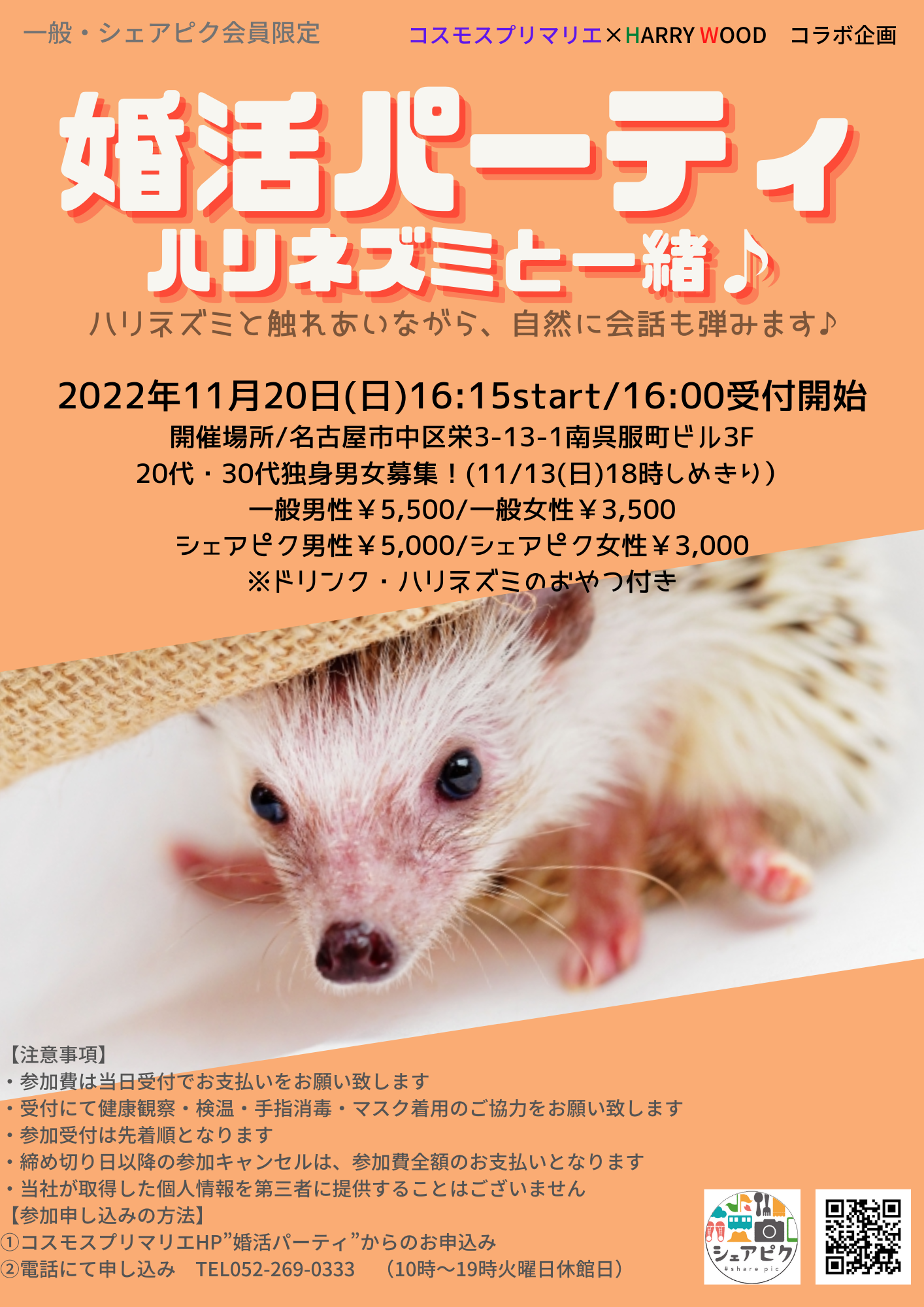 イベントNO.【56】11/20(日)ハリネズミ&婚活パーティ ハリネズミと一緒♪ 20代・30代限定
