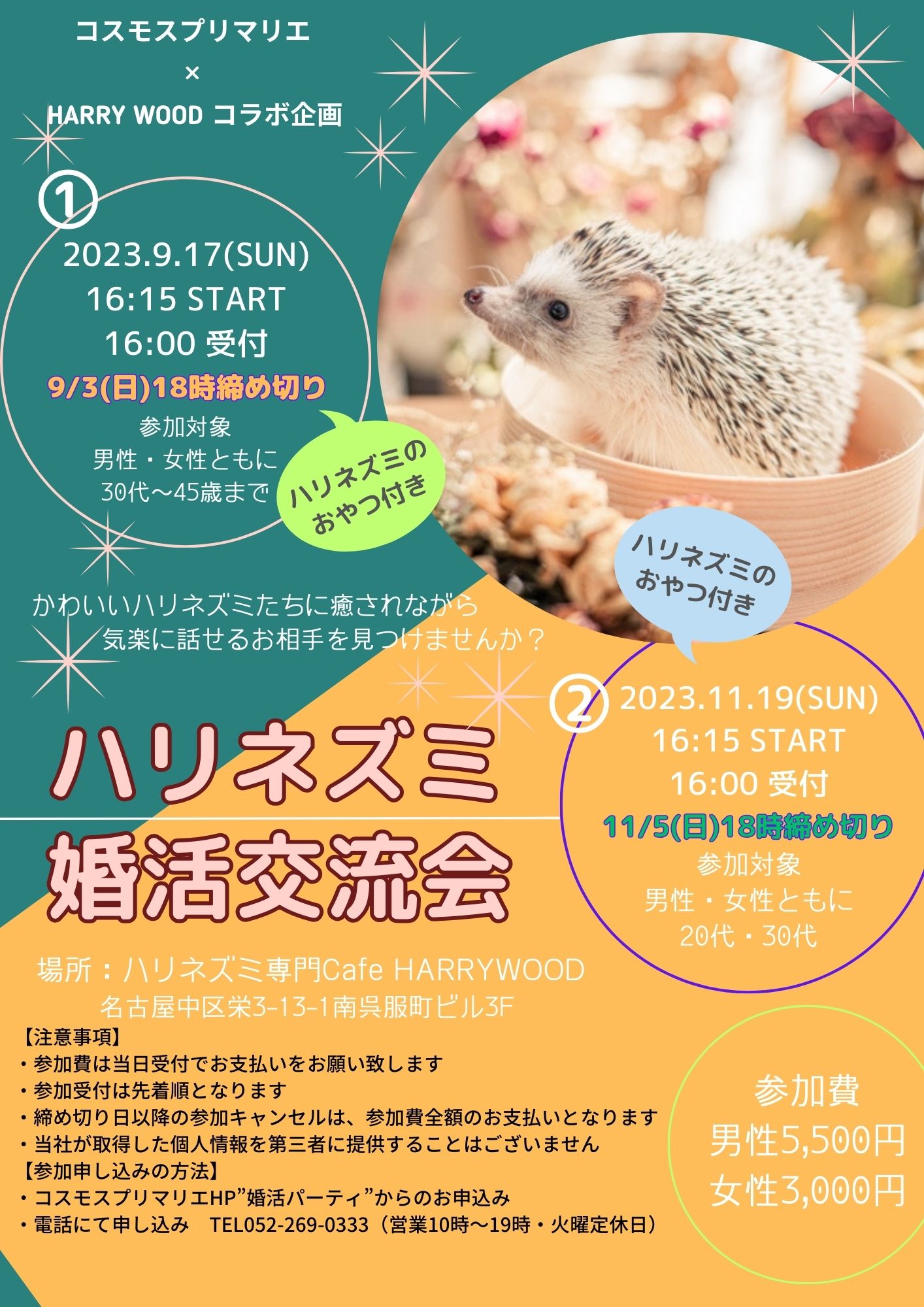イベントNO.【90】11/19(日)婚活交流会🍀・ハリネズミパーティ 🦔 動物好き男女集まれ―♡ 20才~30才迄 《名古屋栄》